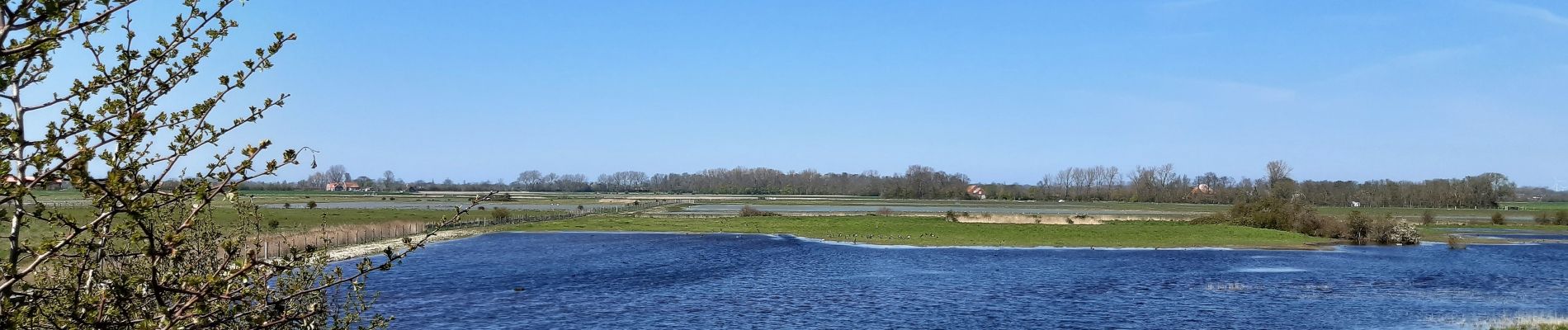 Percorso Marcia Veere - Zeeland - Aloha beach - Photo