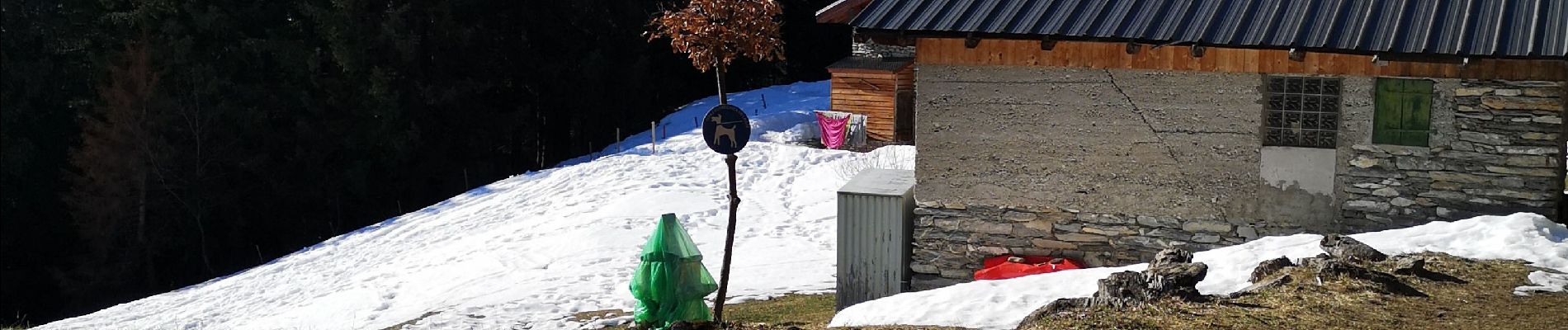 Randonnée Marche nordique Ayent - les deux bisses  - Photo