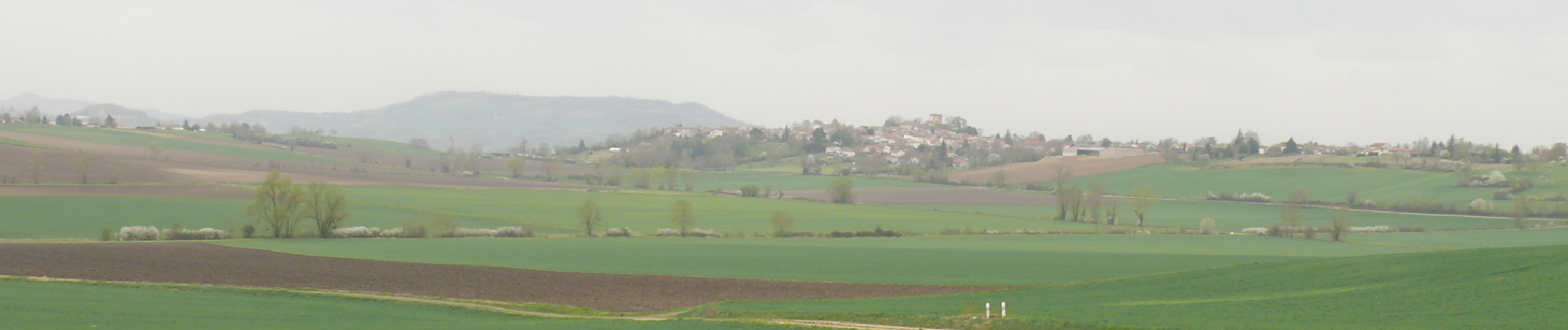 Tour Wandern Beauregard-l'Évêque - beauregard-lEveque - Photo