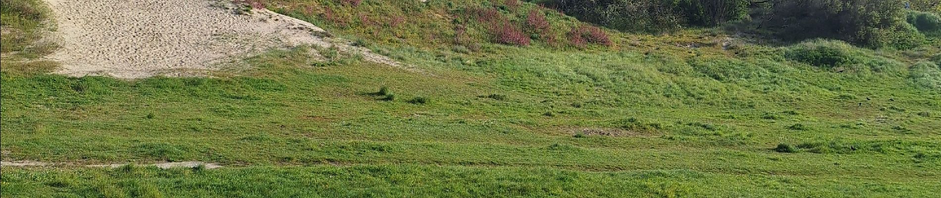 Tocht Stappen Blankenberge -  BLANKENBERGE  - Photo