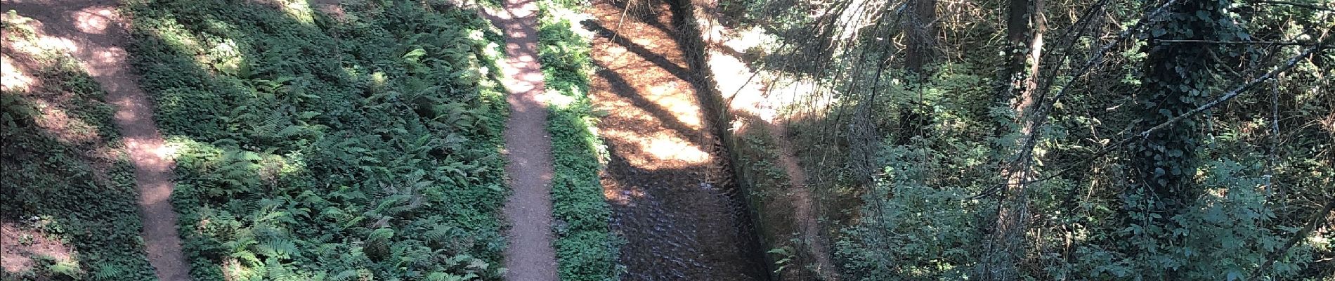 Tocht Stappen Verdun-en-Lauragais - Au top - Photo