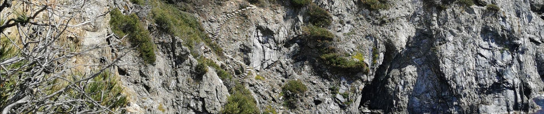 Excursión Senderismo Six-Fours-les-Plages - Les falaises du mont Salva - Photo