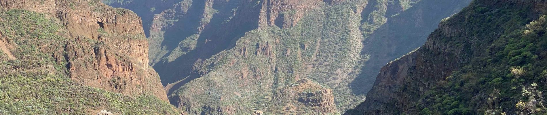 Randonnée Marche Ingenio - Barranco de Guayadeque (Gran Canaria) - Photo