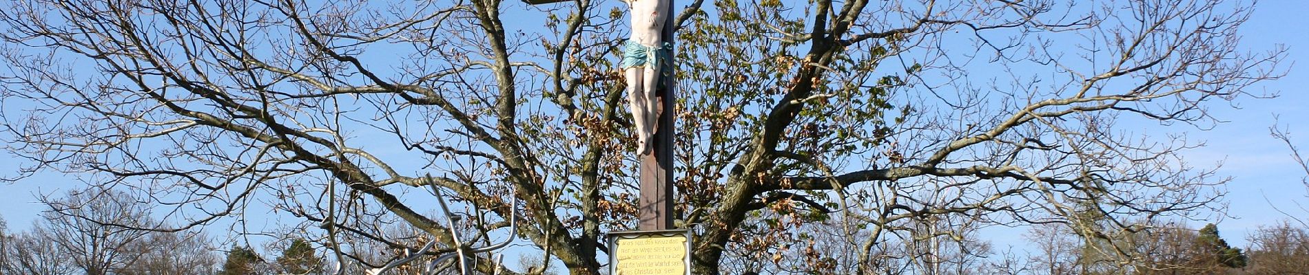 Percorso A piedi Bad Camberg - Rundwanderweg Schnepfe - Photo