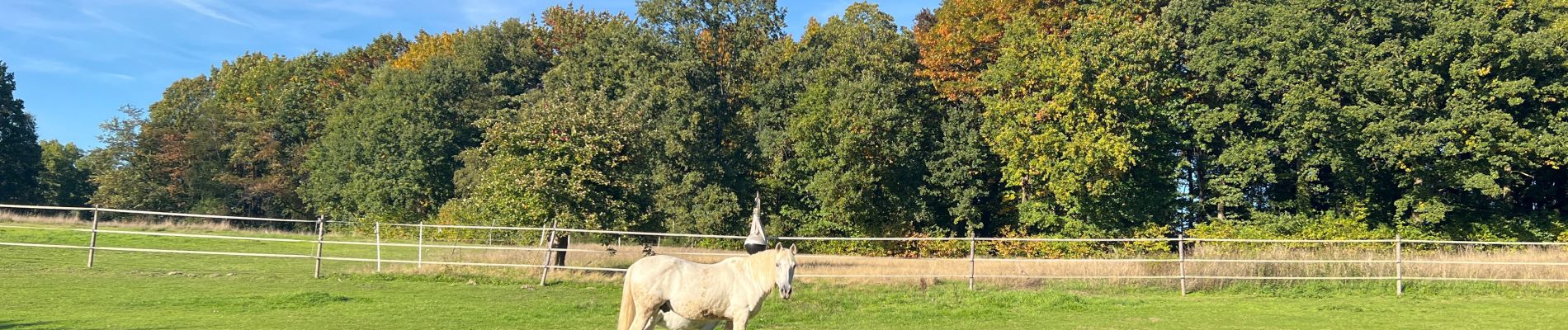 Trail Walking Mont-Saint-Guibert - Mont St Guibert - Photo