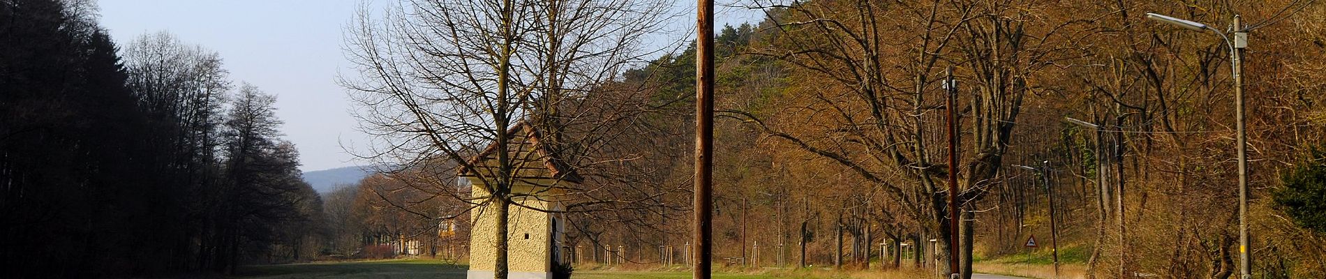 Trail On foot Unknown - Stadtwanderweg 6 - Zugberg - Maurer Wald - Photo