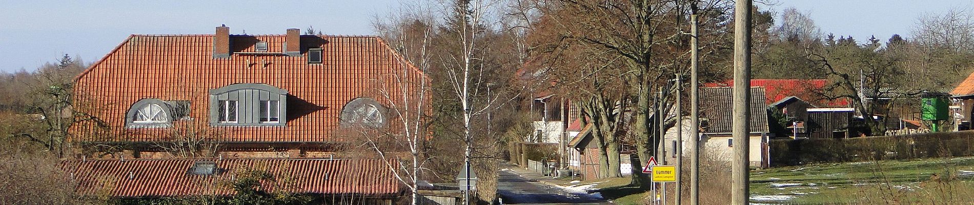 Tocht Te voet Dümmer - Dümmerstück Hof - Walsmühlen - Photo