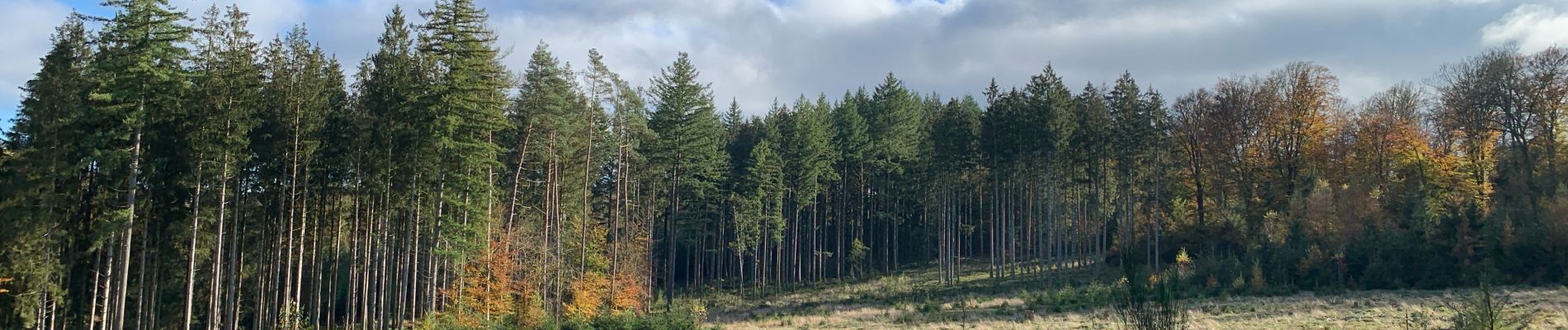 Trail Walking Bouillon - Bouillon Bertrix - Photo