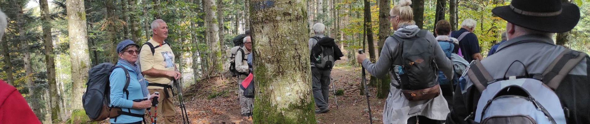 Trail Walking Storckensohn - Runtzwald Gazon Vert  - Photo