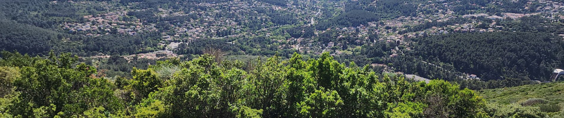 Tour Wandern Le Revest-les-Eaux - source de la Ripelle, oppidum de vieille valette  - Photo