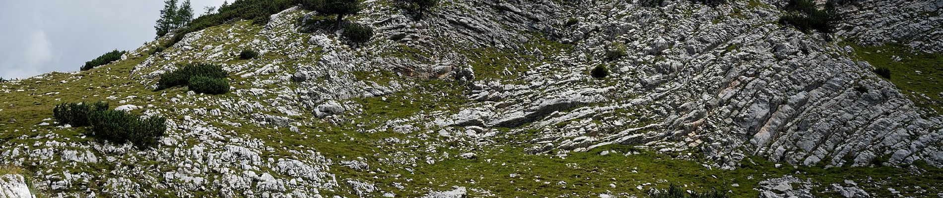Trail On foot Cortina d'Ampezzo - IT-26 - Photo