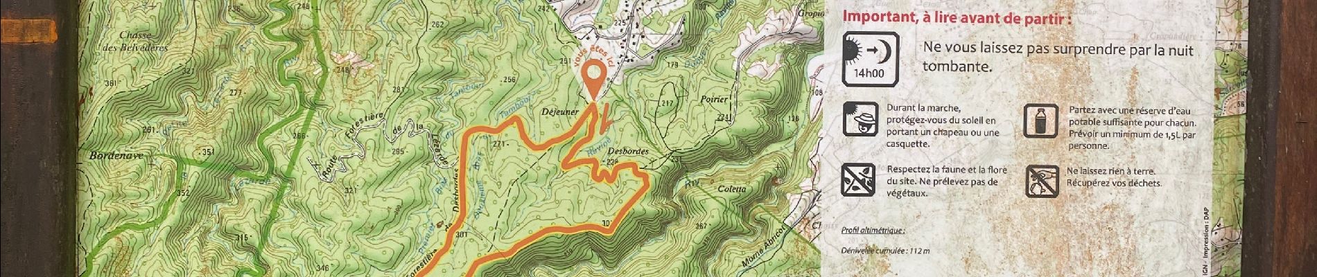 Tocht Trail Petit-Bourg - La boucle de tambour  - Photo