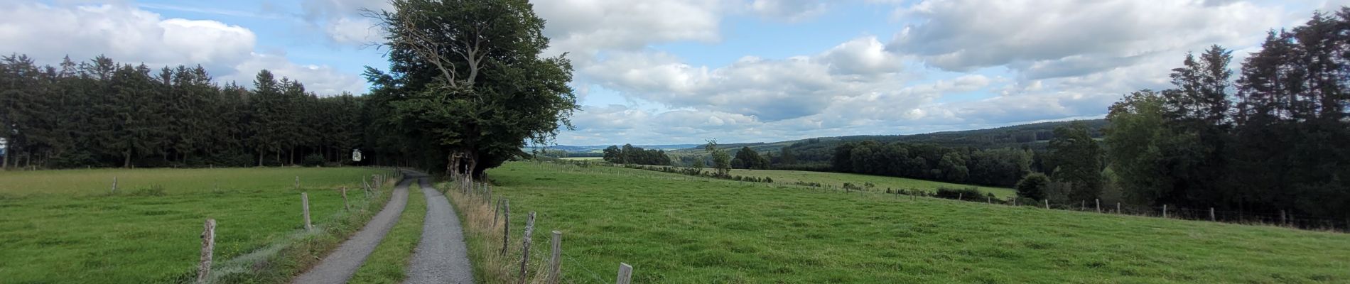 Tocht Stappen Houffalize - rando engreux 14-09-2024 - Photo