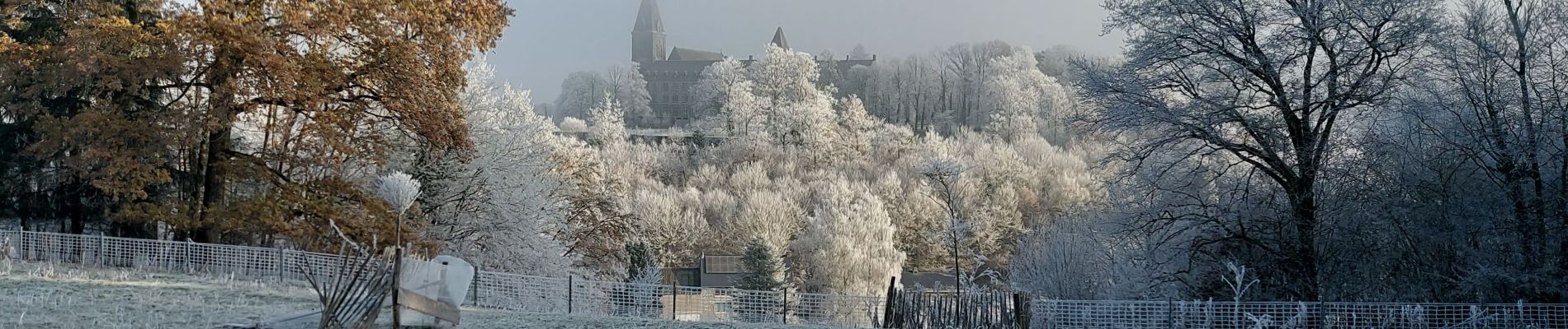 Randonnée Marche Anhée - DENEE _ Marche Fédérale _ NA _ 17/12/2022 - Photo
