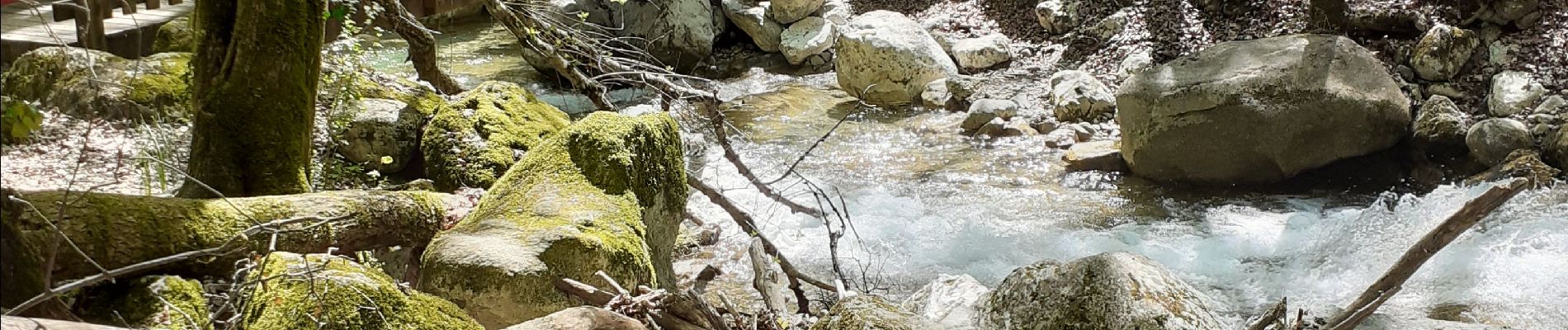 Trail Walking Saint-Vincent-de-Mercuze - Cascade de l'Alloix Montalieu (38) - Photo