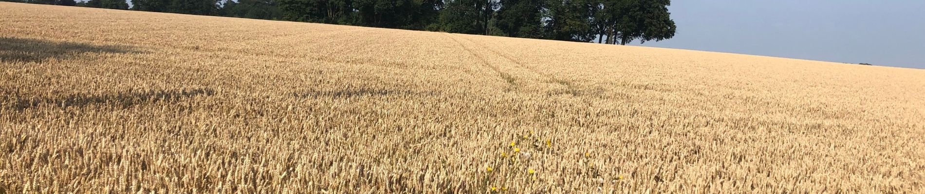 Tour Fahrrad Landen - Neerlanden-CrasAvernas-Les Waleffes-Rosoux - Photo