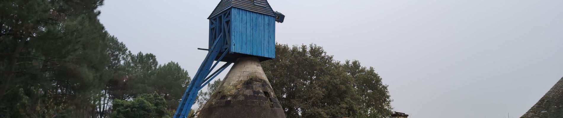 Tour Wandern Bourgueil - Bourgueil le Picard - GRP Coteaux de Bourgueil - 24.3km 325m 5h25 (45mn) - 2024 10 30 - Photo