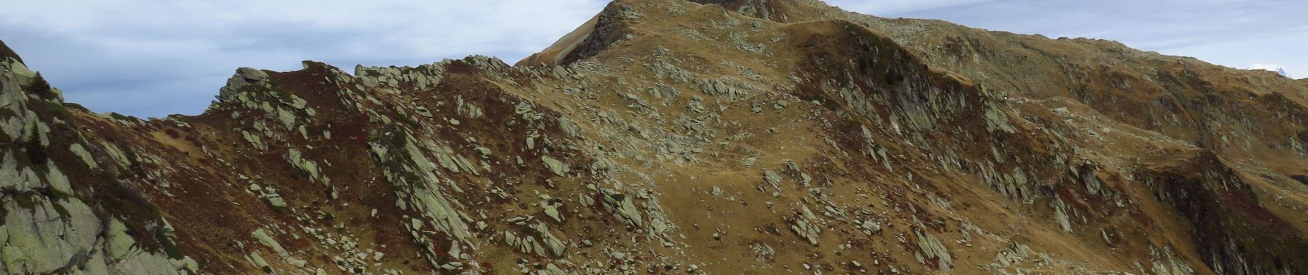 Tour Wandern Montsapey - Mt Bellachat et Marmottes noires - Photo