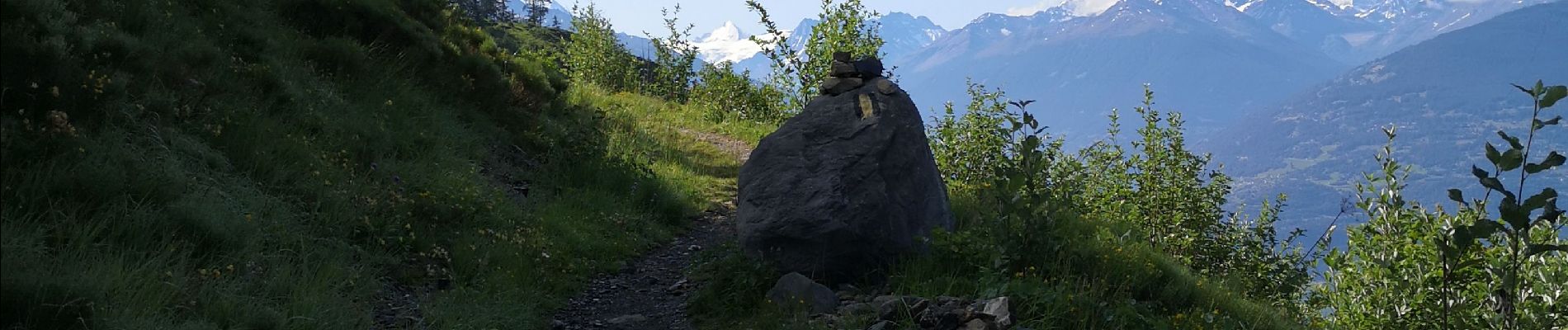 Trail Nordic walking Arbaz - Anzère par les Evouettes  - Photo