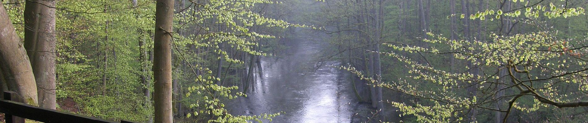 Tocht Te voet Unknown - Ścieżka przyrodnicza Barnimie - Photo