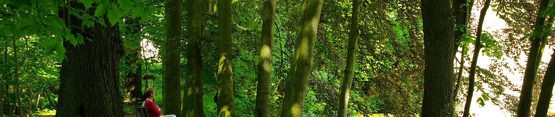 Tocht Te voet Onbekend - Rundweg Werdringen - Photo