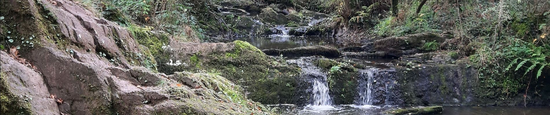 Randonnée Marche Treffendel - treffendel - Photo