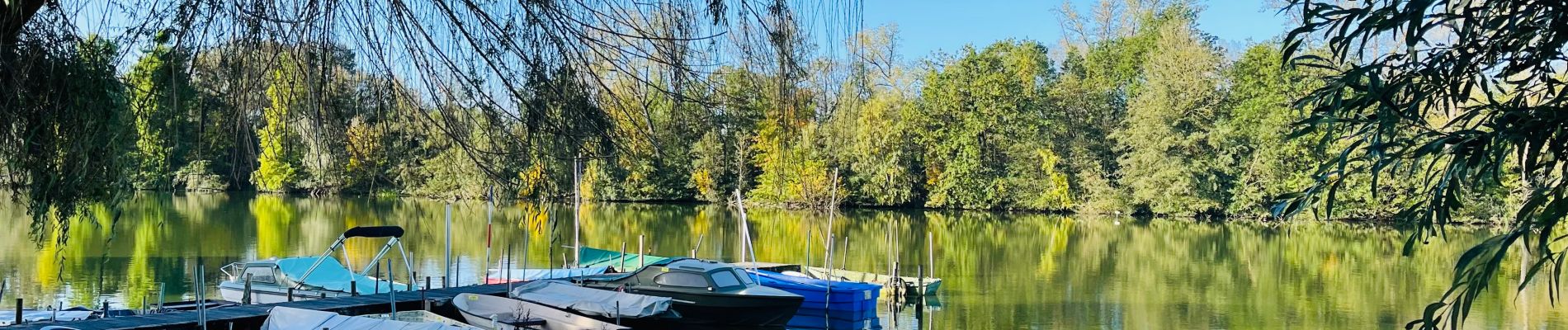 Tocht Stappen Berlare - donkmeer_wandelroute - Photo