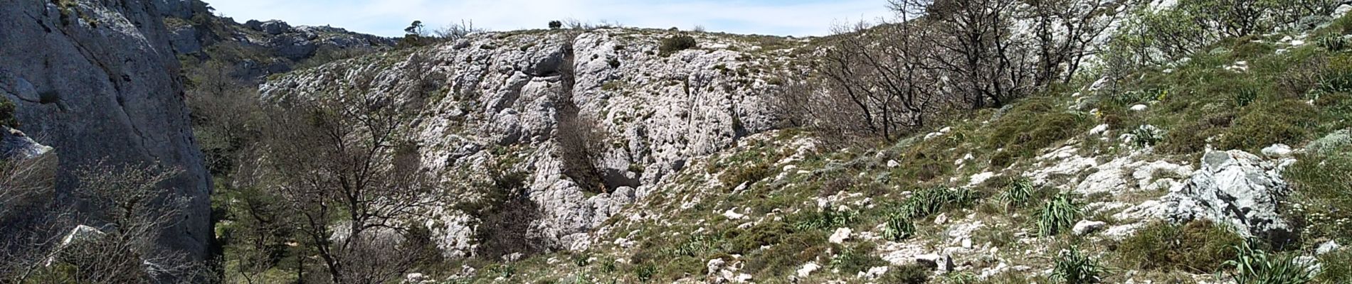 Tocht Mountainbike Plan-d'Aups-Sainte-Baume - VTT ste baume - Photo