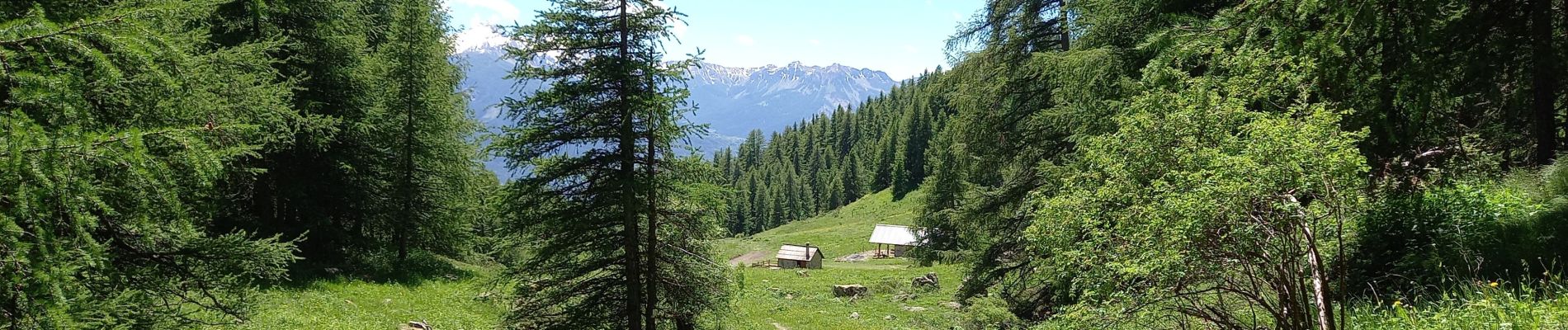 Percorso Marcia Embrun - Lac de l'Hivernet 16.6.24 - Photo