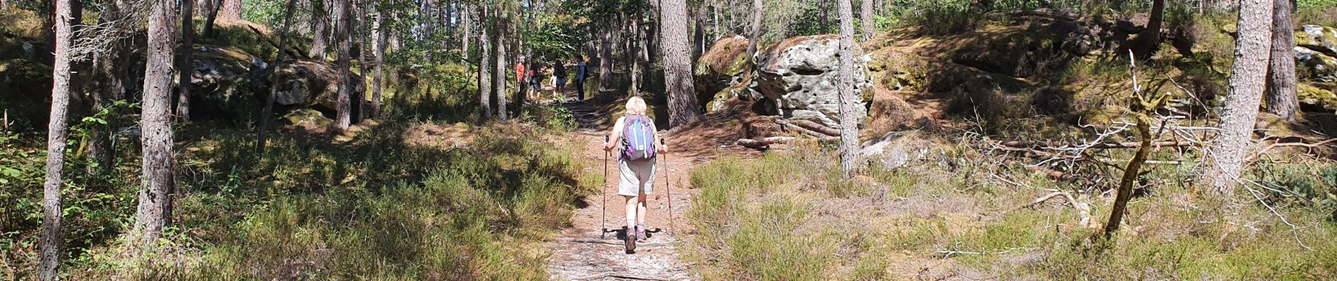 Tocht Stappen Larchant - 20200713 dame jouanne - Photo