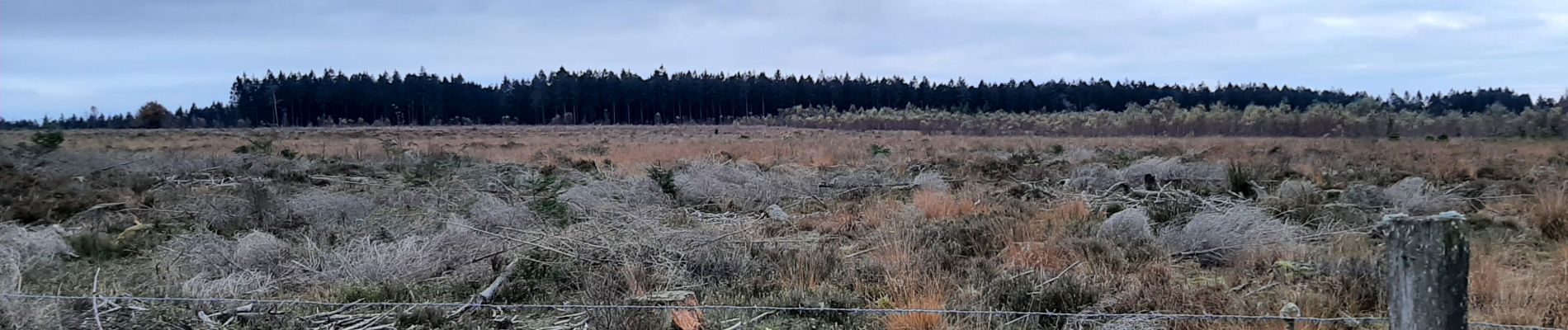 Trail Walking Theux - Bronrome-Croix-Ruy-la Gleize - Photo