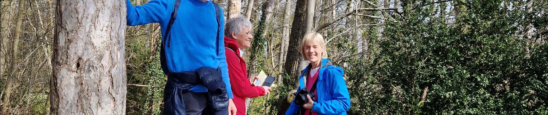 Trail Walking Namur - 2024 03 Abbaye  pascal  - Photo