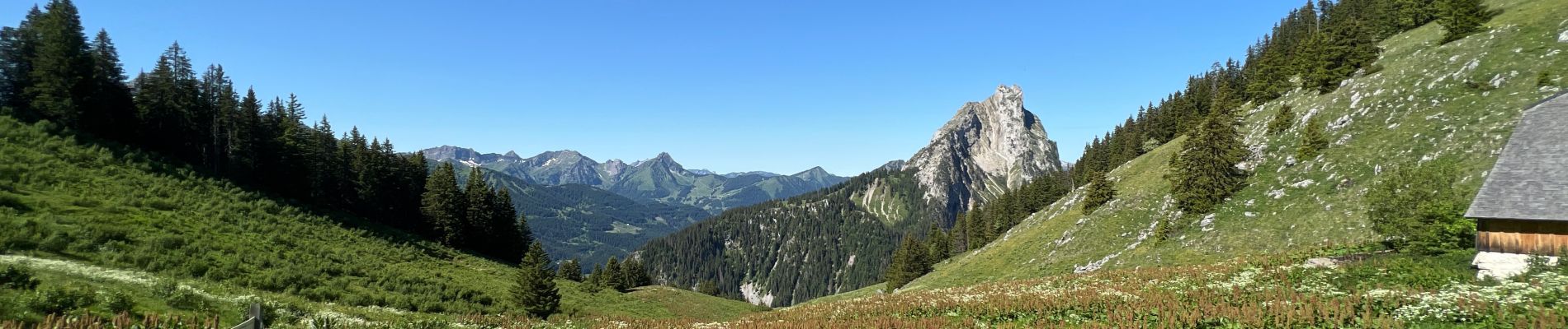 Tocht Stappen La Chapelle-d'Abondance - Rando 1 abondance  - Photo