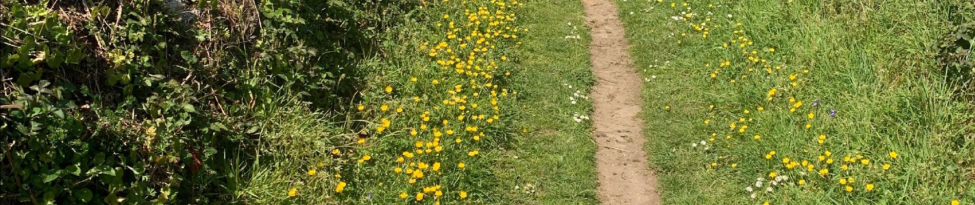 Tocht Stappen Plouguerneau - Wrach - Photo