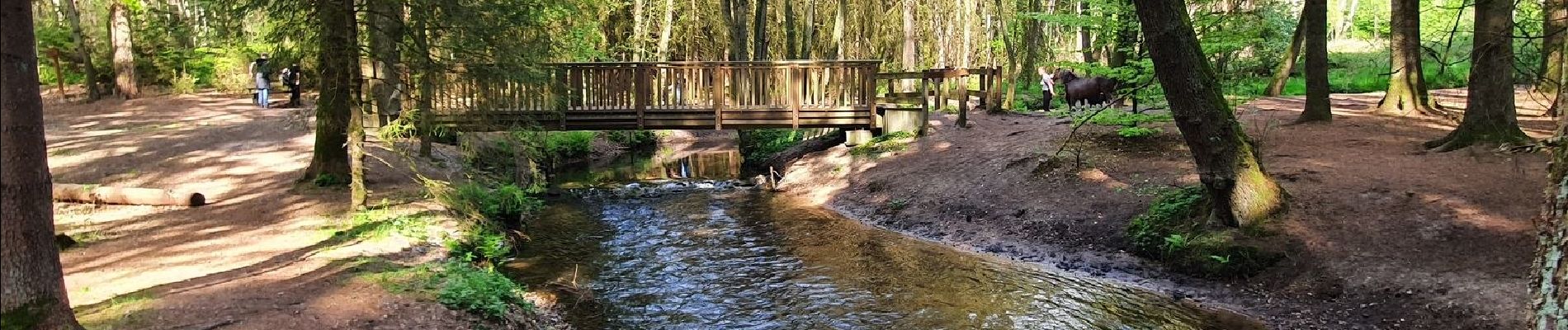 Tocht Te voet Drestedt - Wanderweg Drestedt - Hollenstedt - Photo