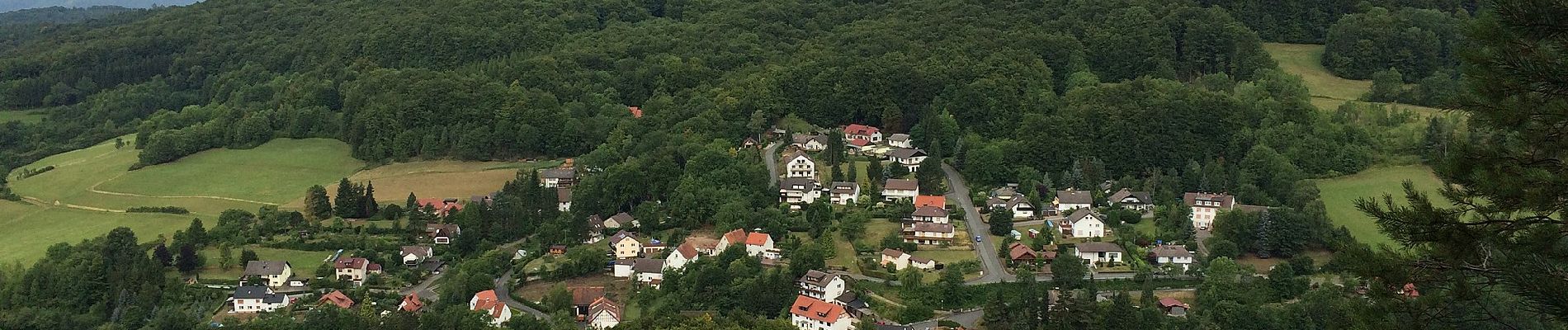 Trail On foot Meinhard - RW 5 Wolfstisch - Photo