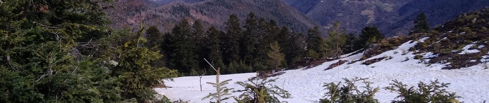 Tocht Sneeuwschoenen Boutx - 2021-02-16  raquettes le mourtis - Photo