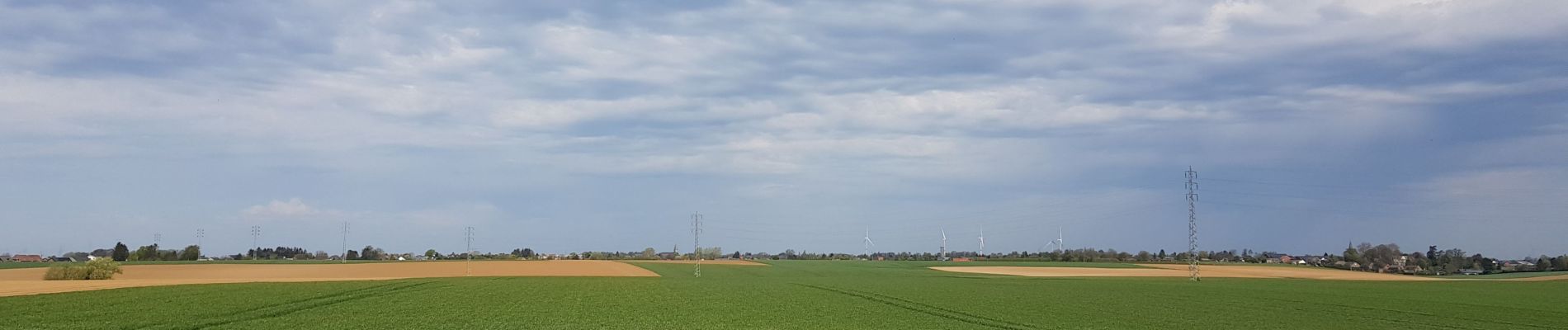 Trail Walking Liège - Rocourt - Ans - Alleur - Rocourt  - Photo