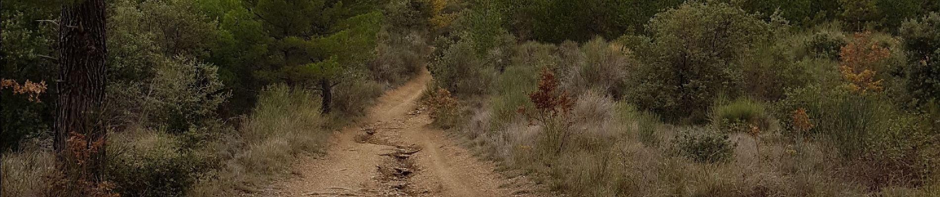 Tour Wandern Manosque - 1Gaude via bellevue - Photo