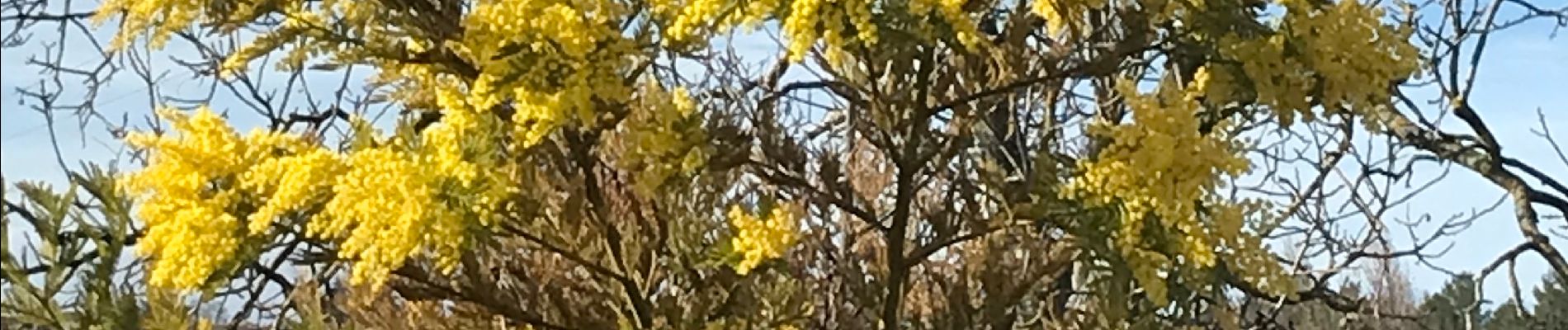 Tocht Stappen Manosque - Les bassins de J.P. - Photo