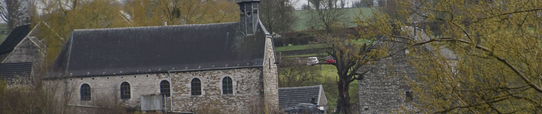 Tocht Stappen Olne - Saint-Hadelin et ses légendes - Photo