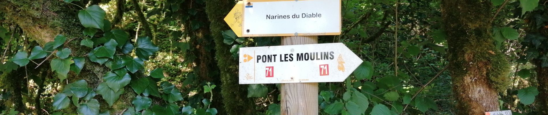 Tocht Stappen Pont-les-Moulins - 2020 07 12 Guillon, les narines du diable - Photo