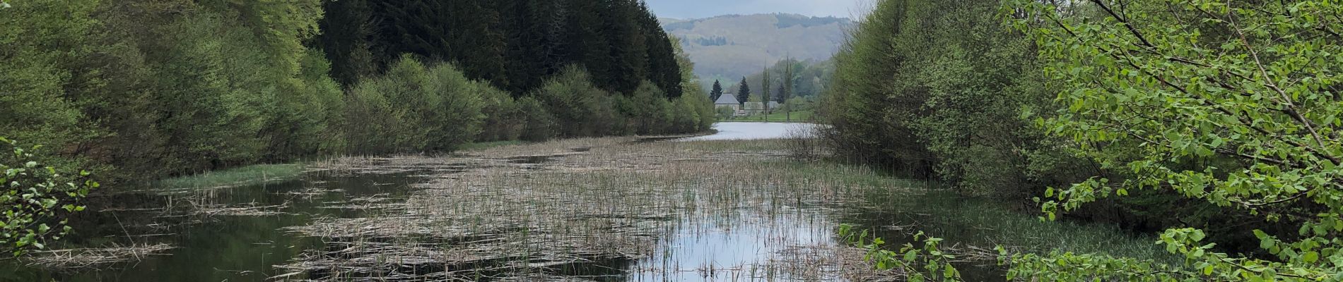 Tour Wandern Condat - Lac des Moines Chemin du lac - Photo