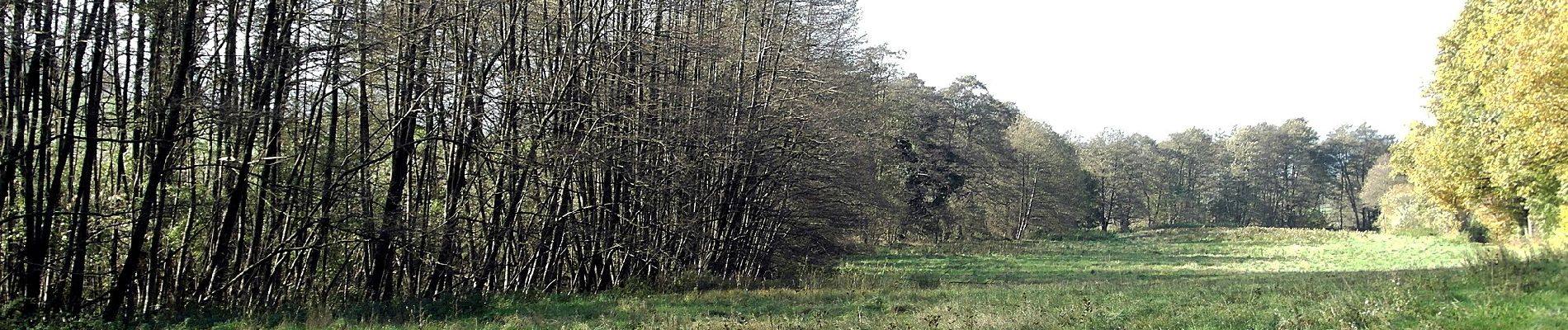 Randonnée A pied Auetal - WE 2 Das liebliche Walterbachtal - Photo