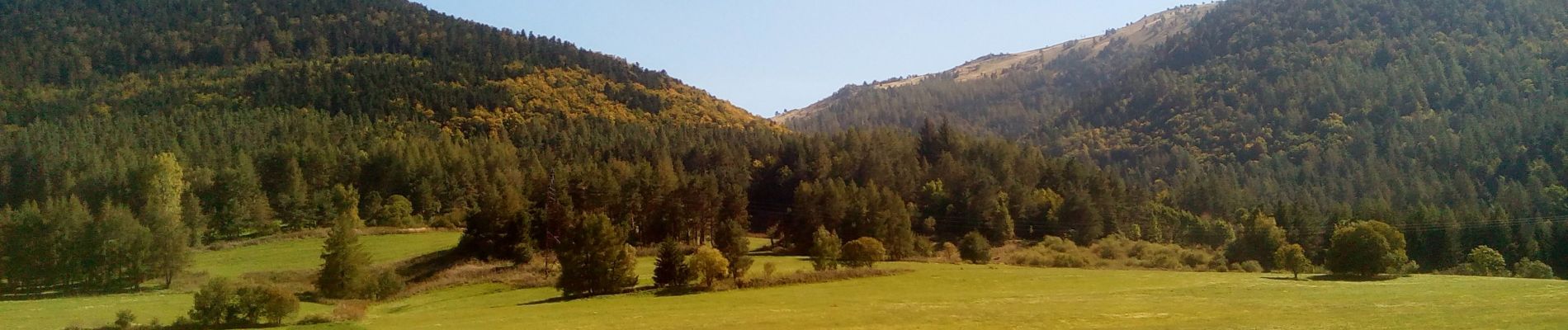 Excursión Senderismo Camurac - les crêtes de Camurac - Photo