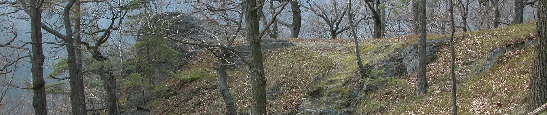 Tour Zu Fuß Schwarzburg - Naturlehrpfad Heinrich Cotta - Photo