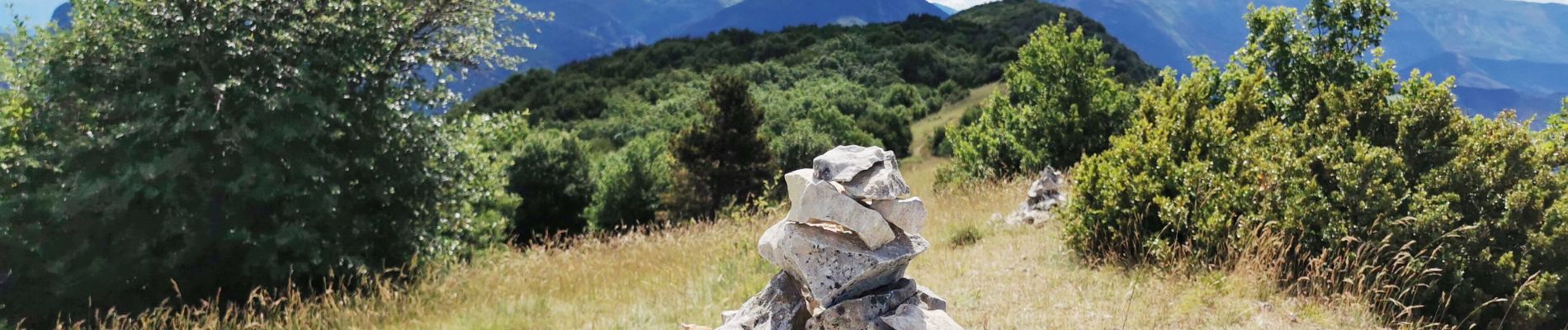 Tour Wandern Saou - Petit et Grand Pomerolles - Forêt de Saoù - Photo