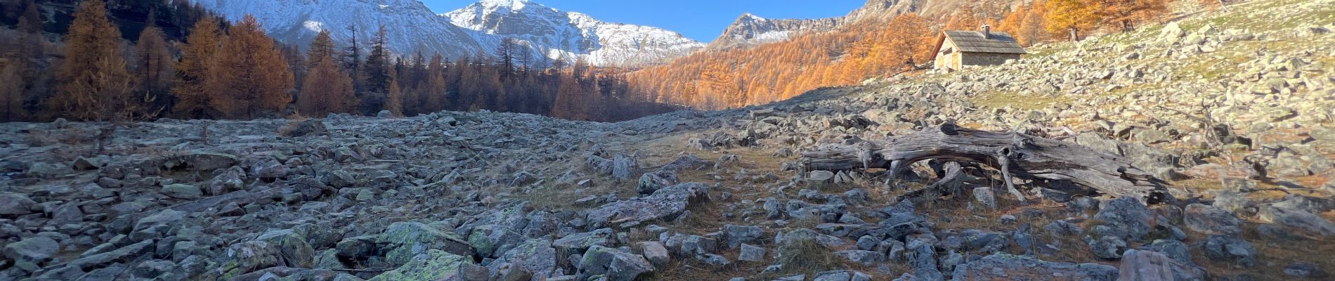 Trail Walking Saint-Dalmas-le-Selvage - Tête de la Clape - Photo