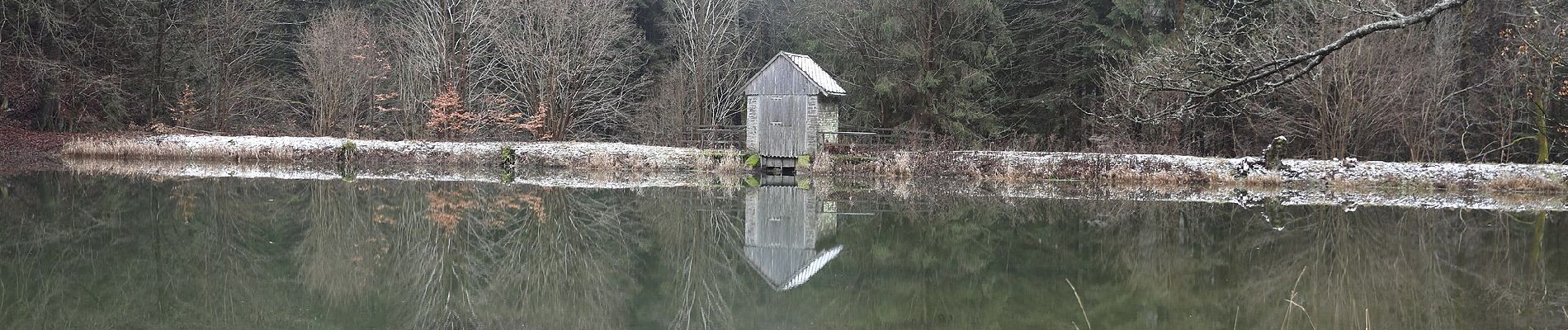 Tour Zu Fuß Steinbach am Wald - Buchbacher-Weg - Photo