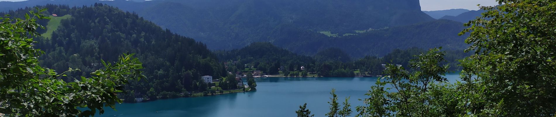 Tour Wandern Veldes - Chateau🏰 de Bled - Photo